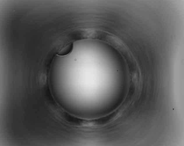 X0000088890602200706151831