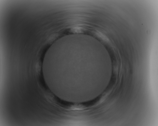 X0000088890603200706151831