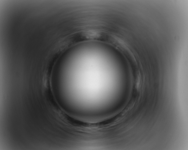 X0000088890604200706151831