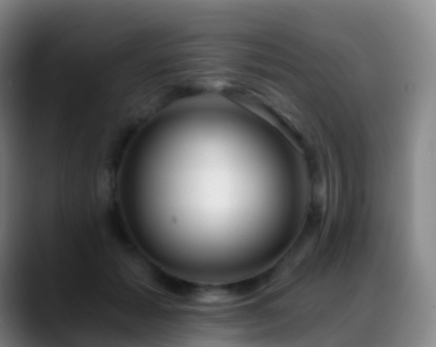 X0000088890605200706151831