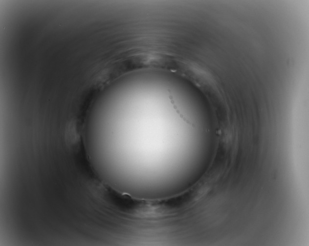 X0000088890607200706151831