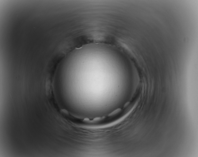 X0000088890609200706151831