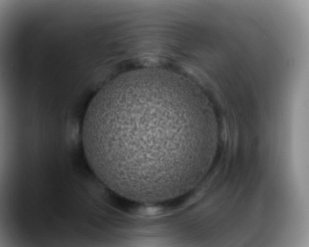 X0000088890610200706151831