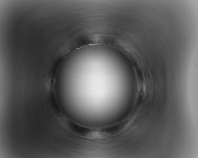 X0000088890611200706151831