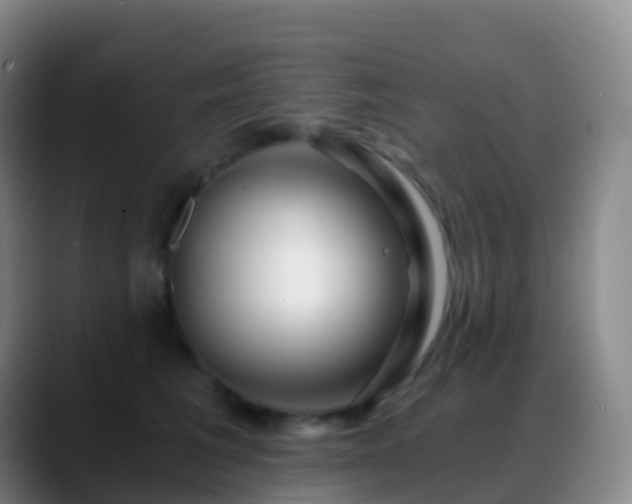 X0000088890613200706151831