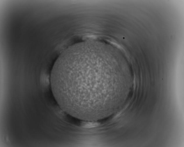 X0000088890621200706151831