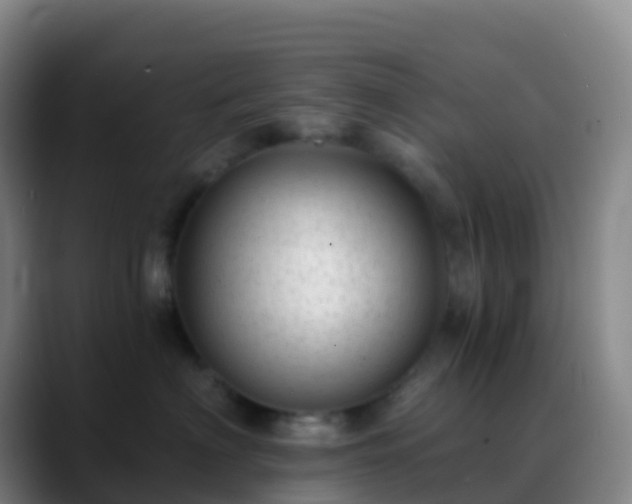 X0000088890622200706151831