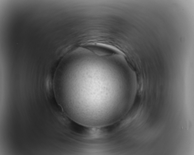 X0000088890623200706151831