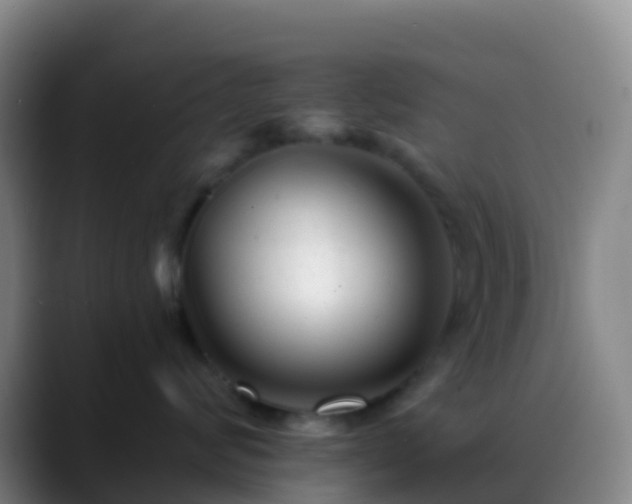 X0000088890624200706151831