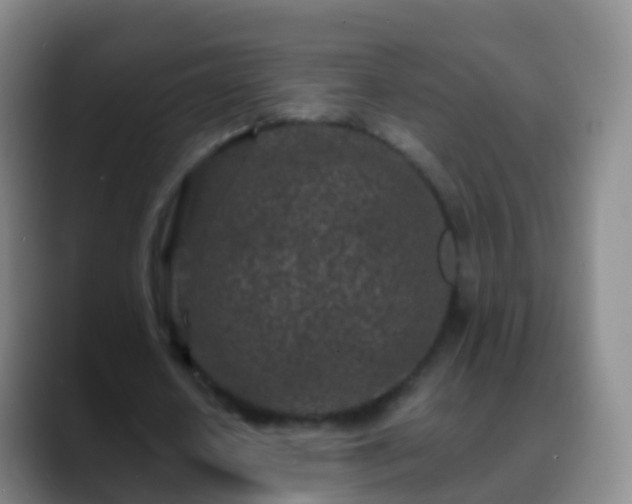 X0000088890626200706151830