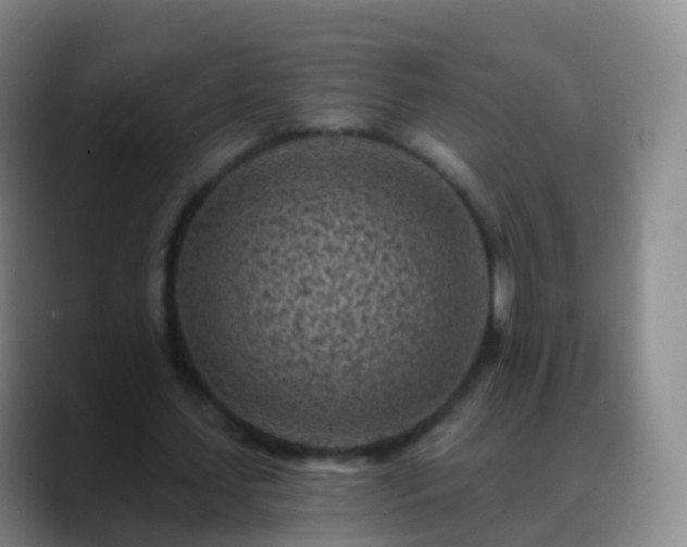 X0000088890627200706151830