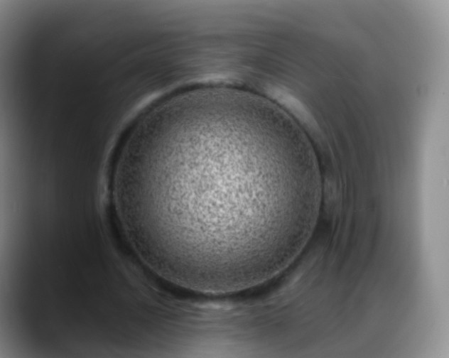 X0000088890628200706151830