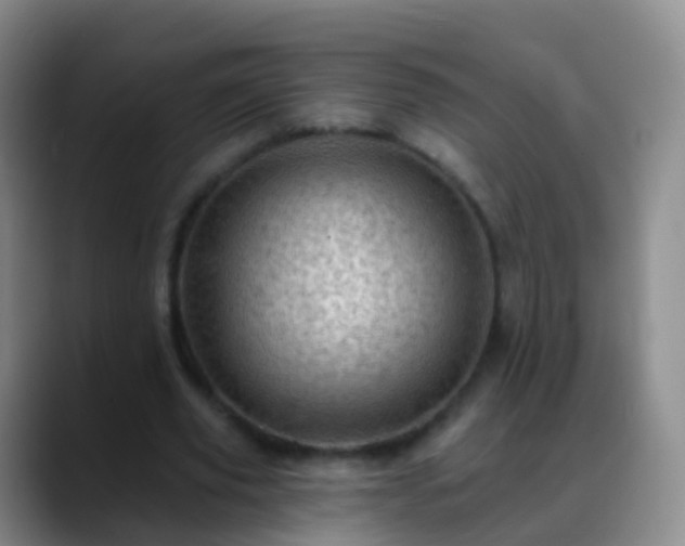 X0000088890629200706151830