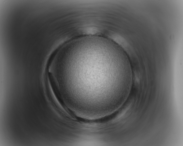 X0000088890630200706151830