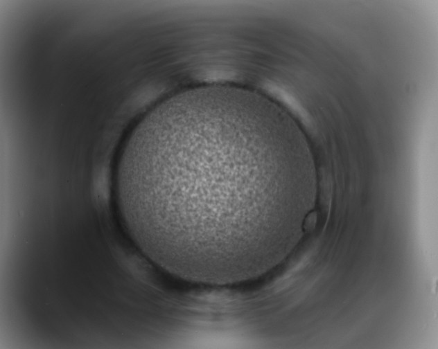 X0000088890631200706151830