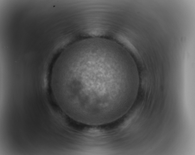 X0000088890635200706151830