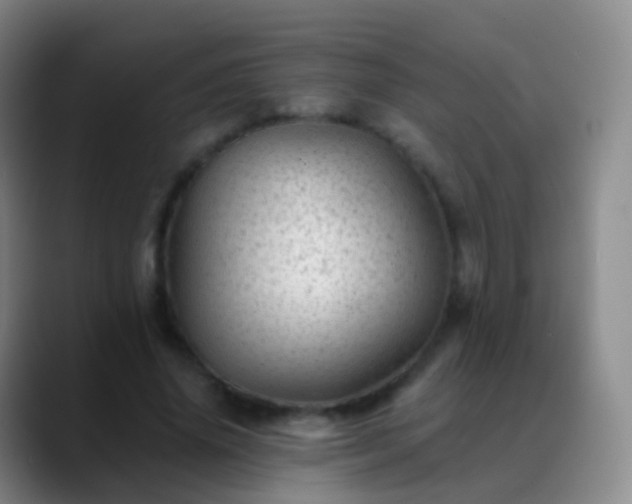 X0000088890636200706151830