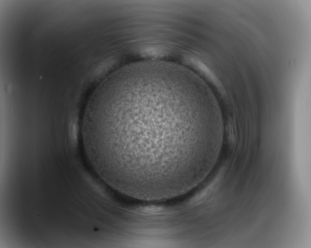 X0000088890637200706151830