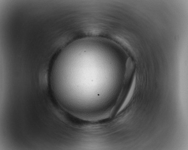 X0000088890638200706151830