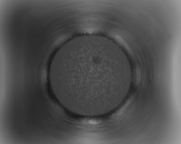 X0000088890640200706151830