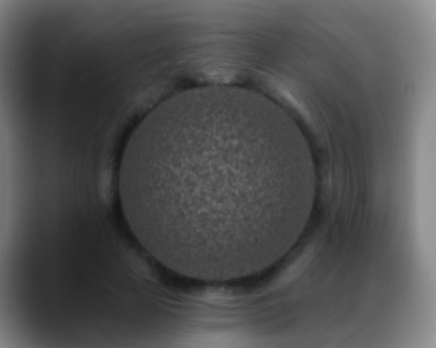 X0000088890641200706151830