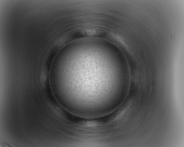 X0000088890645200706151830