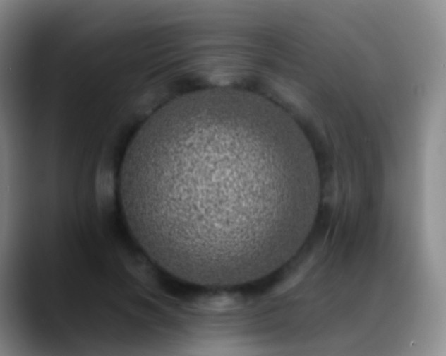 X0000088890646200706151830