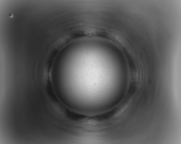 X0000088890648200706151830