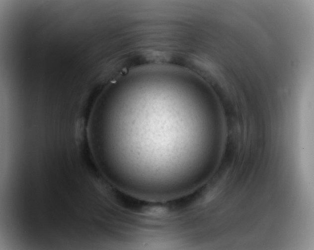 X0000088890649200706151830