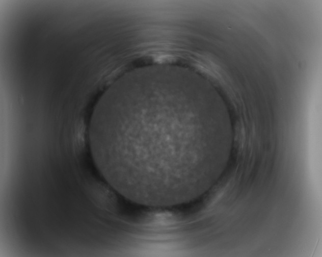 X0000088890650200706151830