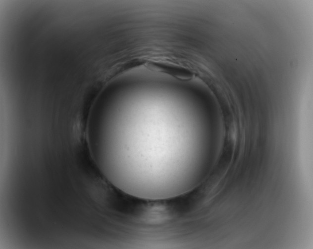 X0000088890651200706151830