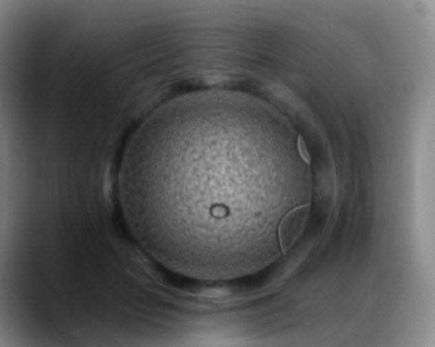 X0000088890653200706151830