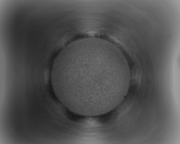 X0000088890656200706151830