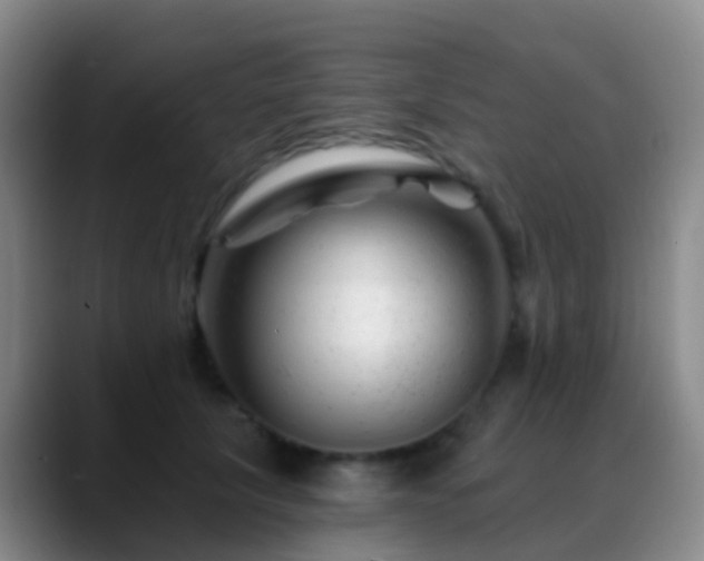 X0000088890657200706151830