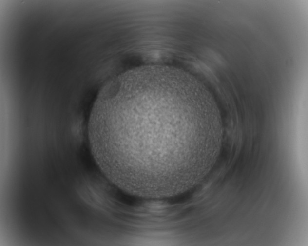 X0000088890659200706151830