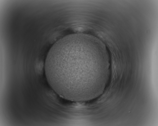 X0000088890660200706151830