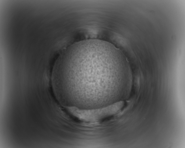 X0000088890661200706151830