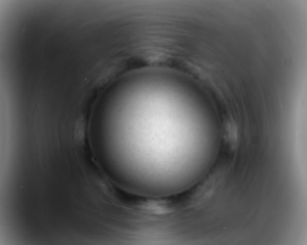 X0000088890664200706151830