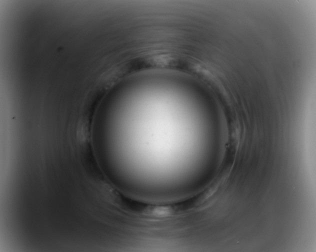 X0000088890665200706151830