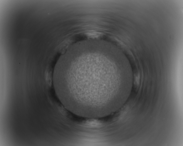 X0000088890666200706151830