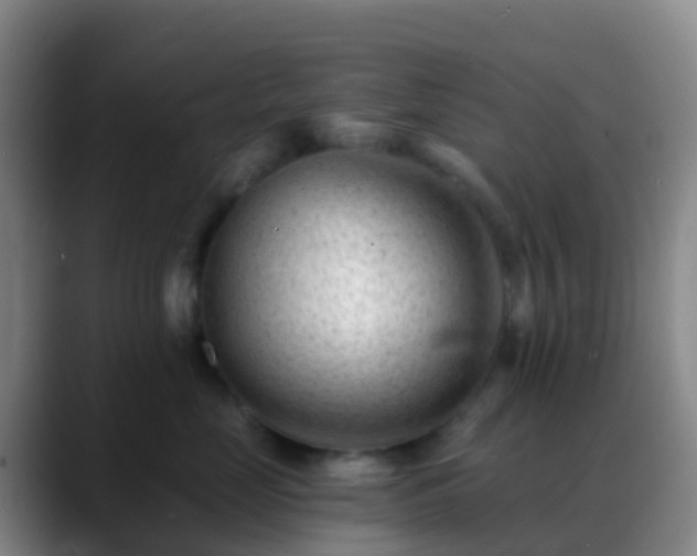 X0000088890669200706151830