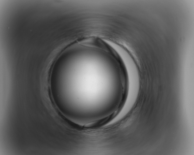 X0000088890673200706151830