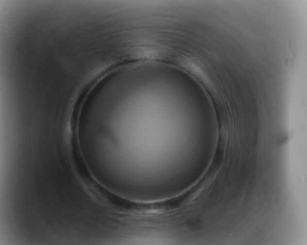 X0000088890674200706151830