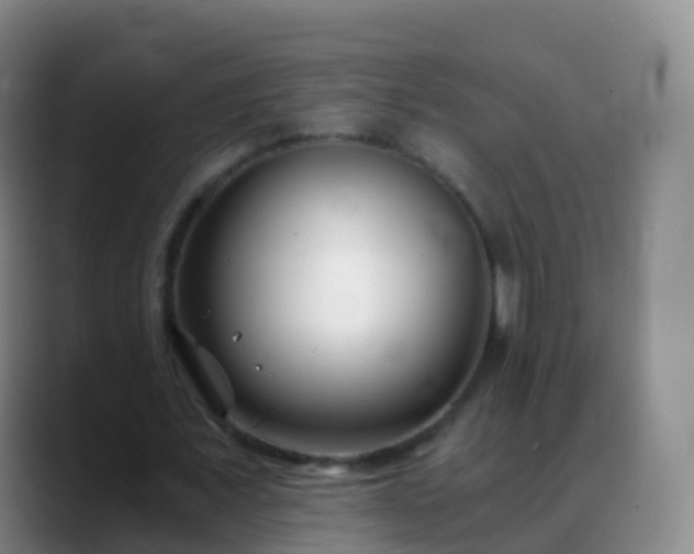 X0000088890675200706151830