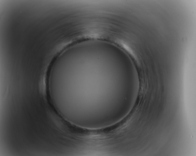 X0000088890678200706151830