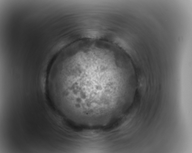 X0000088890679200706151830