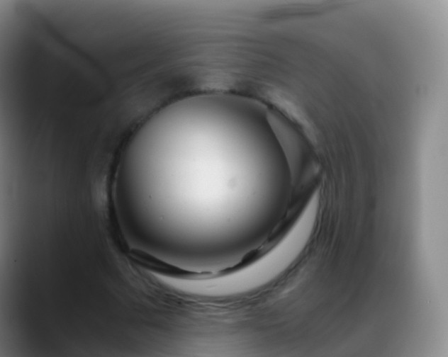 X0000088890681200706151830