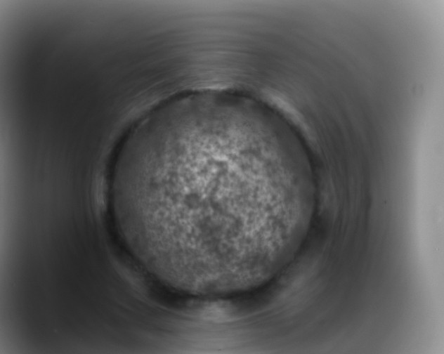 X0000088890683200706151830