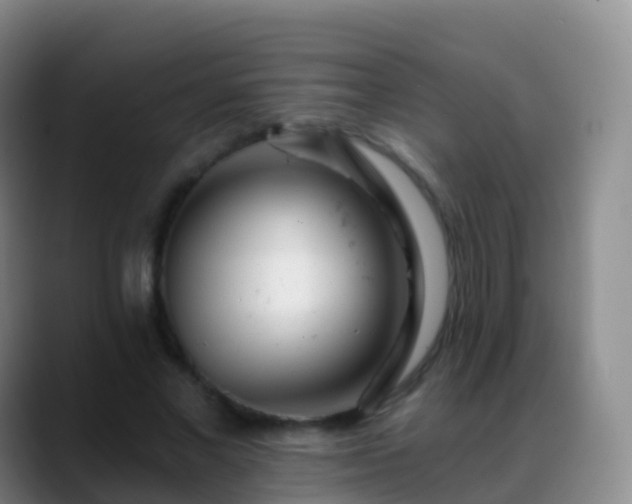 X0000088890685200706151830