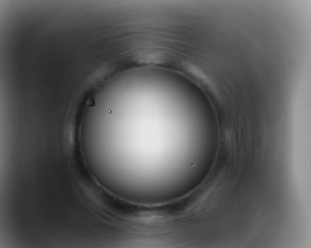 X0000088890686200706151830